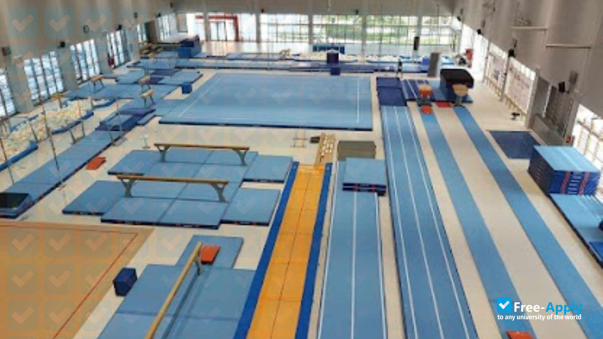 Academy of Physical Education and Sport in Gdansk photo #19