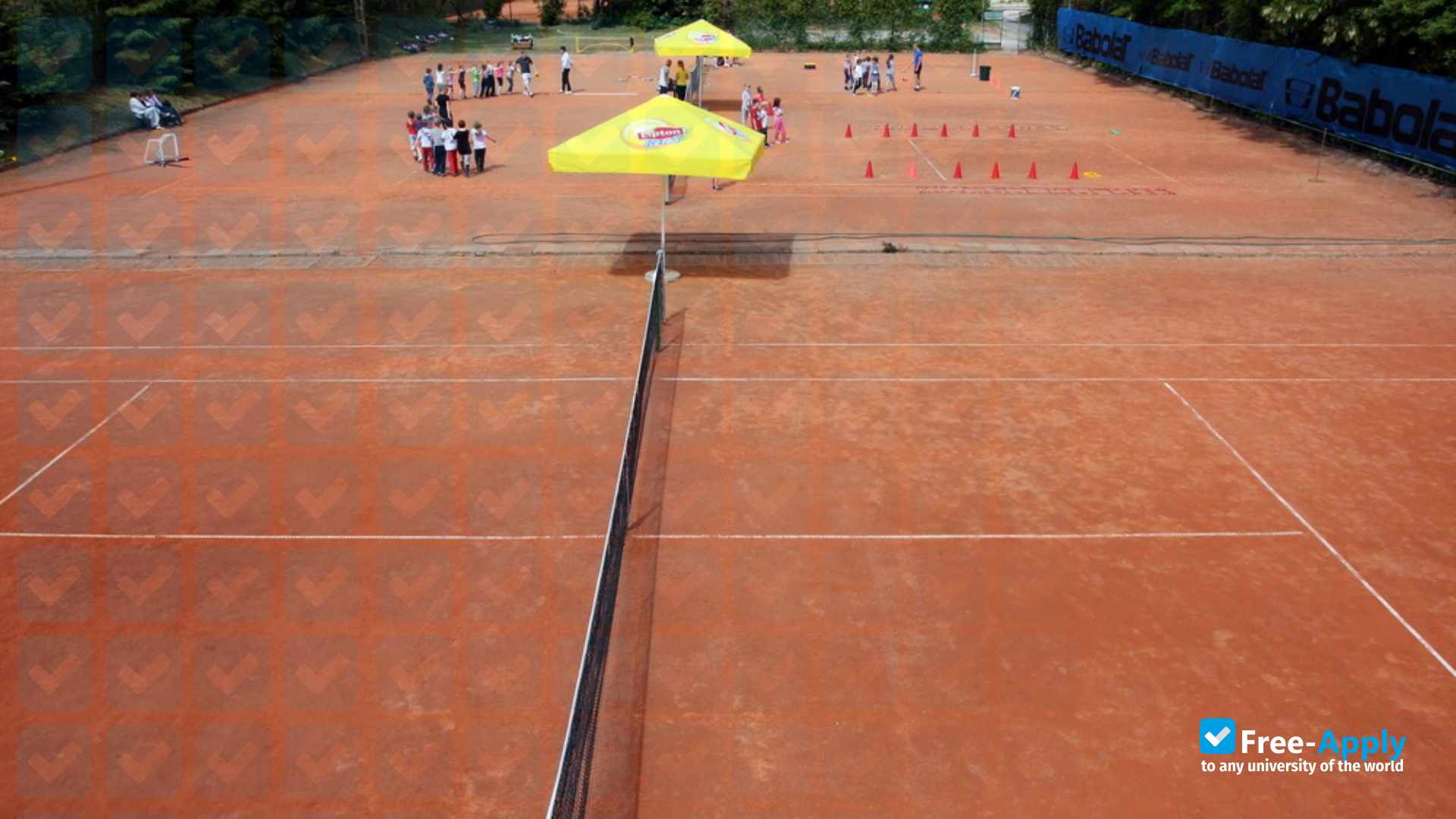 Academy of Physical Education and Sport in Gdansk photo #15