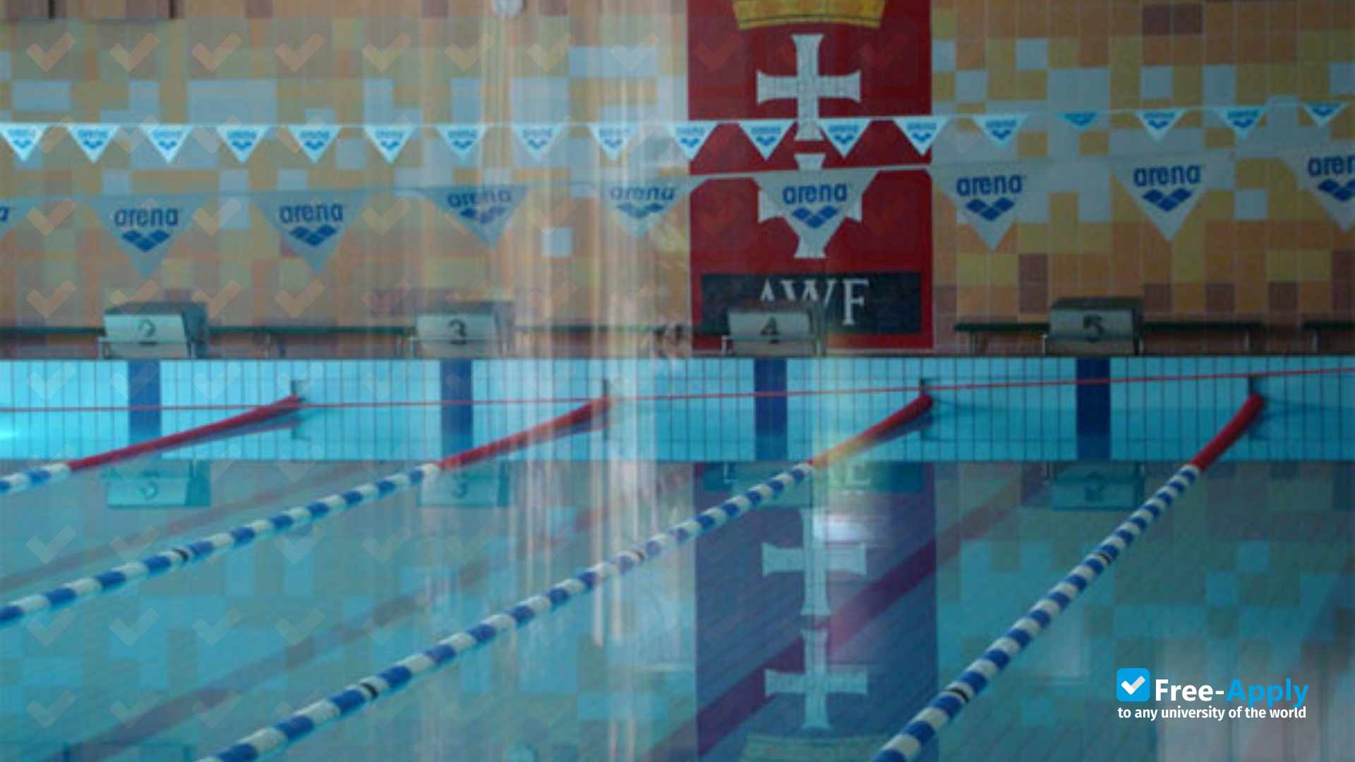 Academy of Physical Education and Sport in Gdansk photo #18