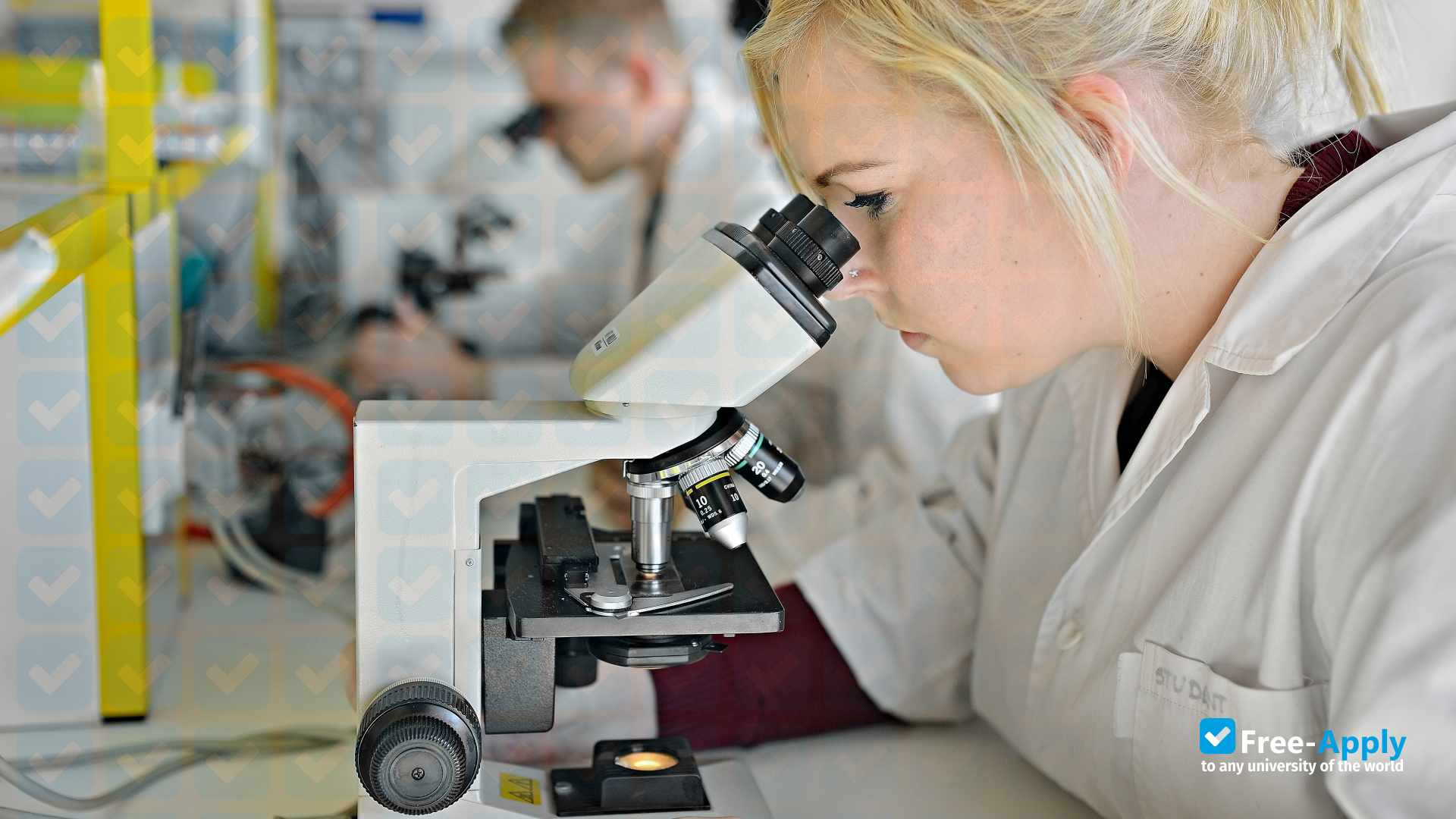 Foto de la Collegium Medicum in Bydgoszcz of the Nicolaus Copernicus University of Toruń #15