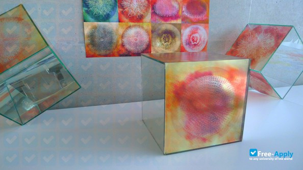Foto de la Fine Arts Academy Wroclaw #5
