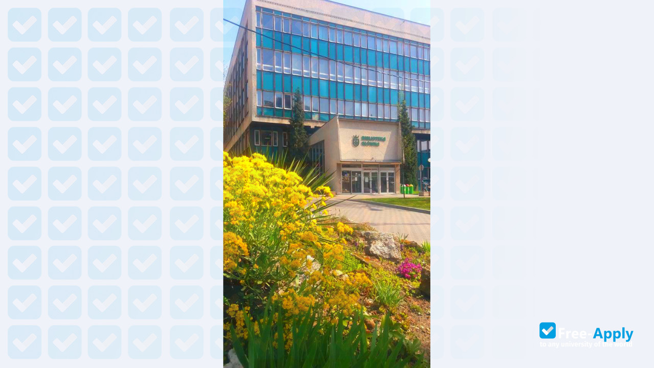 Cracow University of Economics photo #7