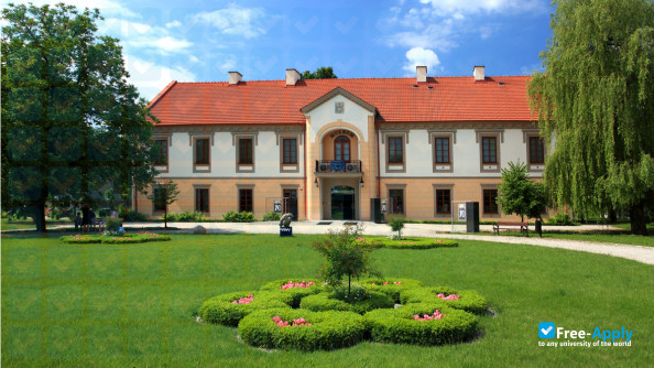 Economics College in Stalowa Wola фотография №11