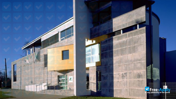 Gdansk Management College photo #9