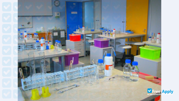 Gdansk Management College photo #8