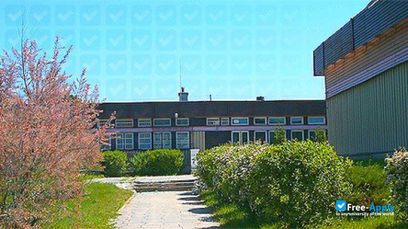 Higher School of Business and Management photo #5