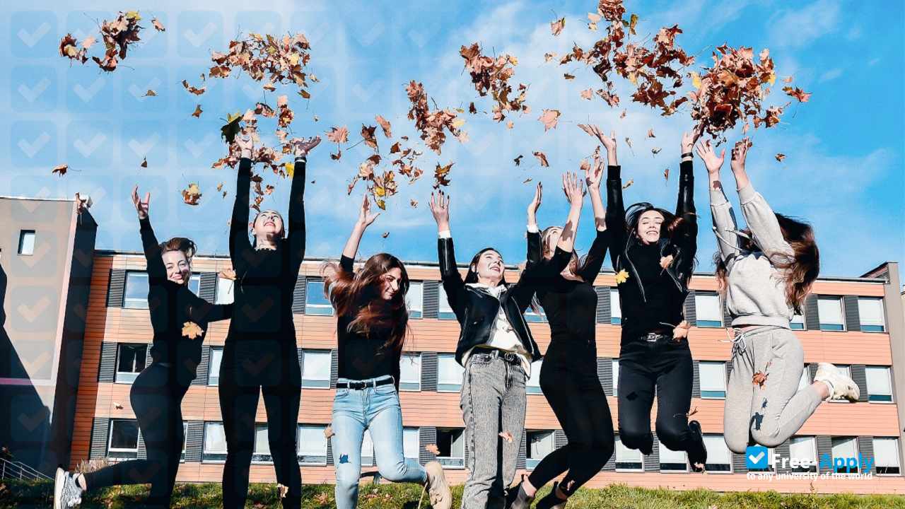 Foto de la Wroclaw Business University of Applied Sciences #3