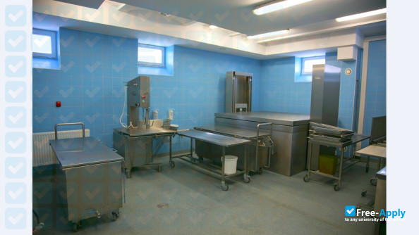 Medical Academy Ludwik Rydygier in Bydgoszcz photo #10