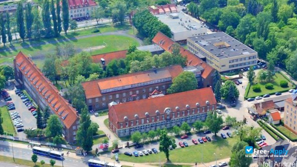 Casimir the Great University photo