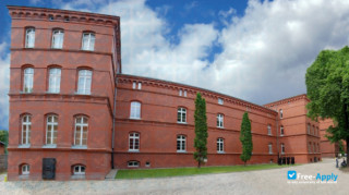 Miniatura de la State Higher Vocational School in Gniezno #6