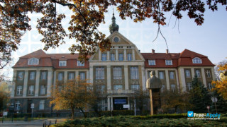 Medical University of Gdansk thumbnail #6