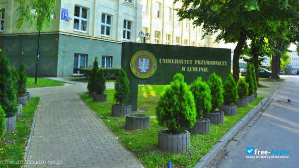 University of Life Sciences in Lublin (Agricultural University) фотография №2