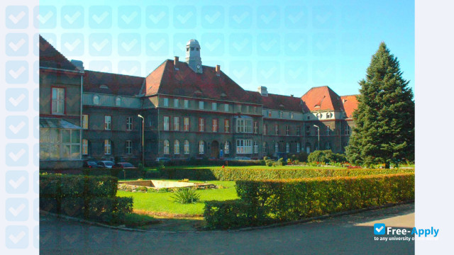 Medical University of Silesia in Katowice фотография №1