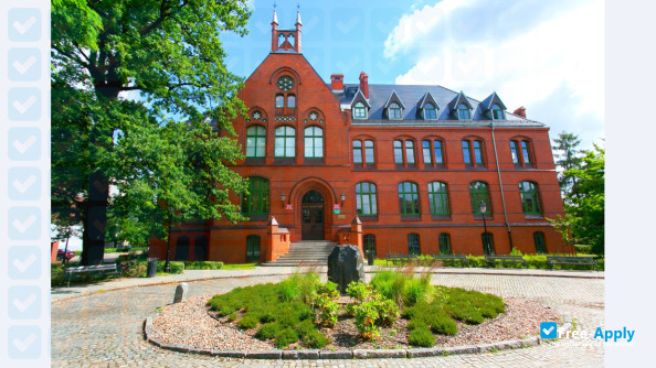 Medical University of Wroclaw photo #10