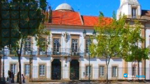 Research Scholarship (BI) for Master Student, Polytechnic Institute of Portalegre, Portugal