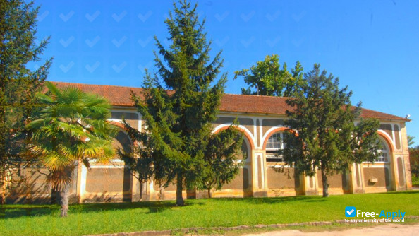Photo de l’Agrarian School of Coimbra #11