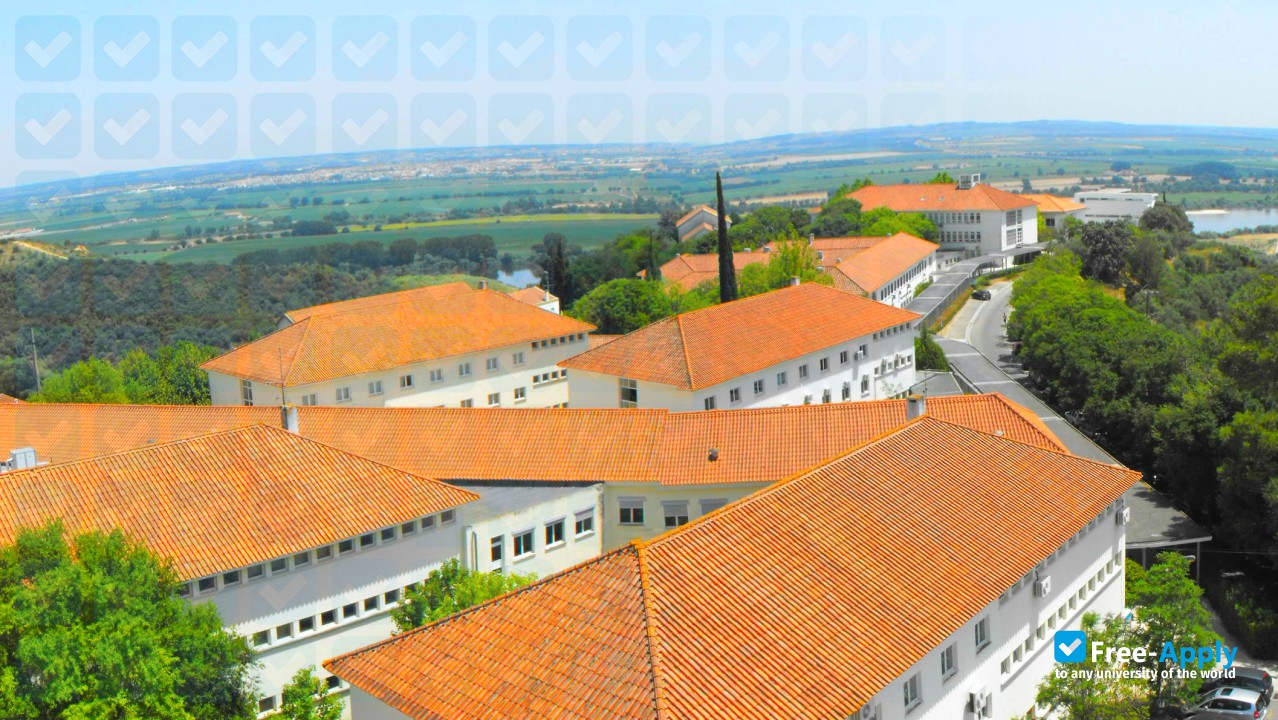 Photo de l’Polytechnic Institute of Santarém (Santarém) / Polytechnic Institute of Santarém (Santarém) #8