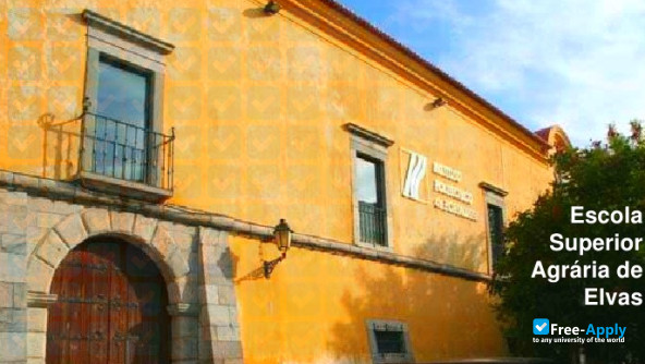 Photo de l’Agrarian Superior School of Elvas #15