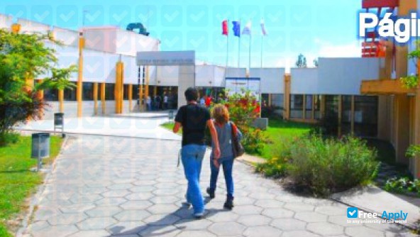 Polytechnic Institute of Setúbal (Setúbal) / Polytechnic Institute of Setúbal (Setúbal) фотография №3