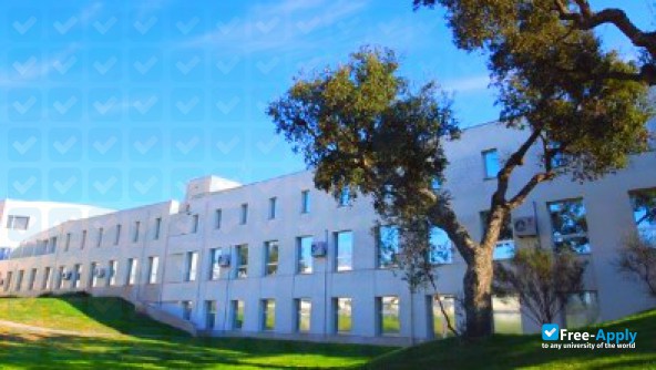 Polytechnic Institute of Setúbal (Setúbal) / Polytechnic Institute of Setúbal (Setúbal)