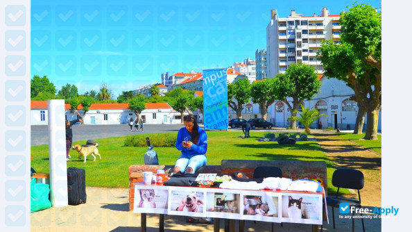 Foto de la Higher Institute of Education and Science (Lisbon) #8