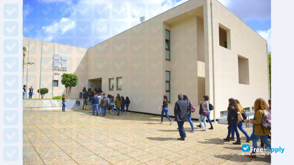 Foto de la Instituto Superior de Entre Douro e Vouga #4