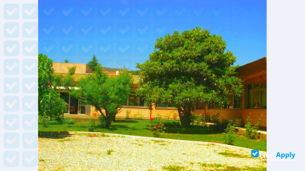 Photo de l’School of Nursing of Vila Real #1