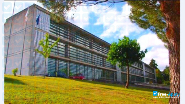 Institute of Accounting and Administration of Coimbra фотография №10