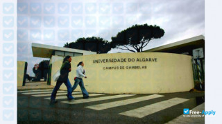 University of Algarve vignette #4