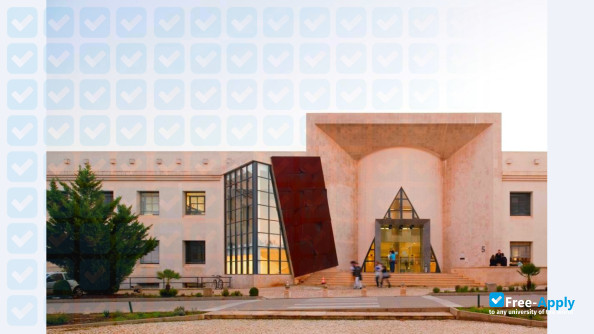 University of Algarve photo #4