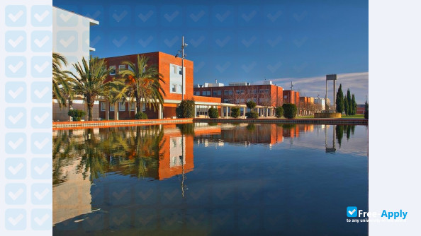 University of Aveiro photo #3