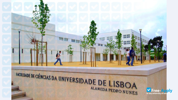 Foto de la New University of Lisbon #9