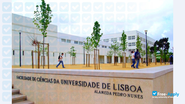 Foto de la New University of Lisbon #9