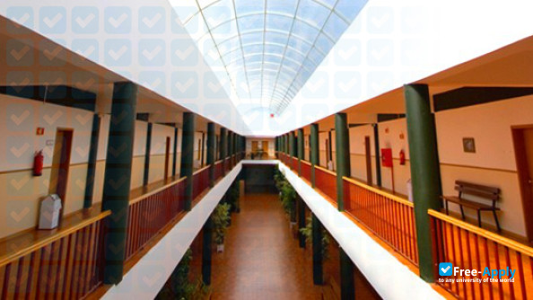 Piaget institute cheap