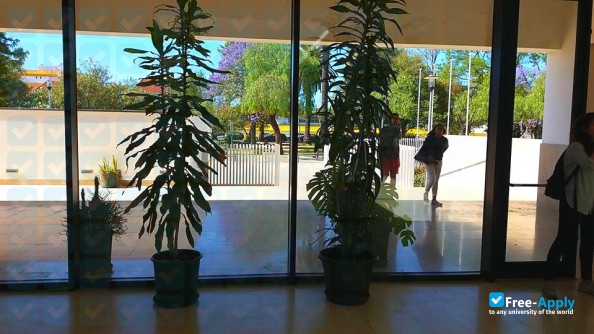 Polytechnic Institute of Beja фотография №8