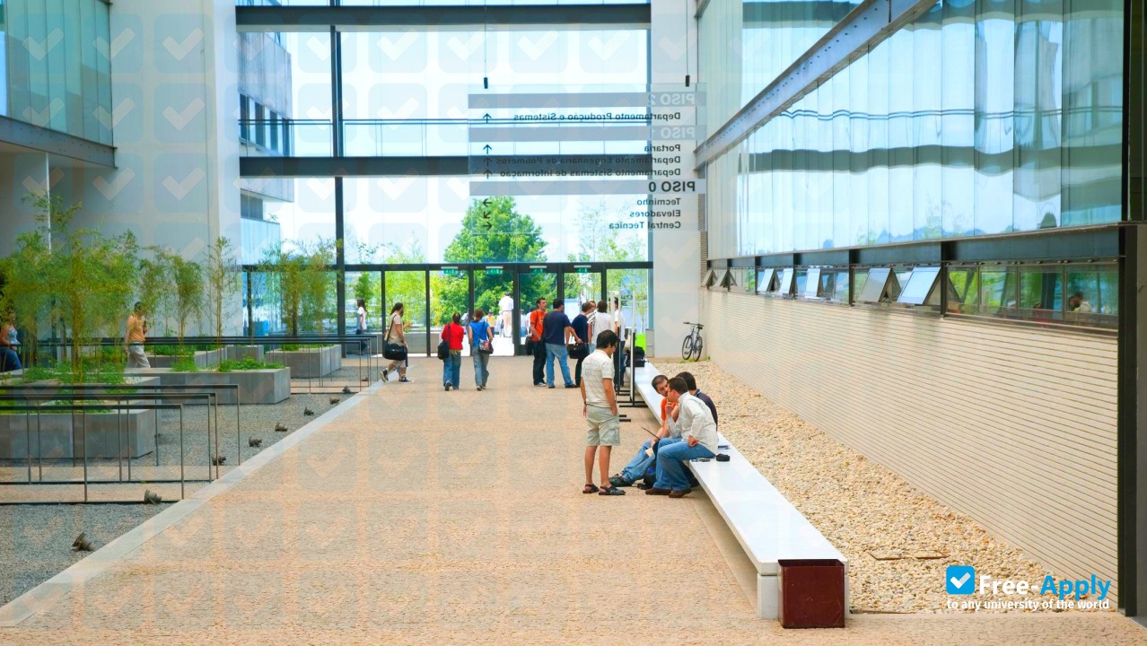 University of Minho фотография №6