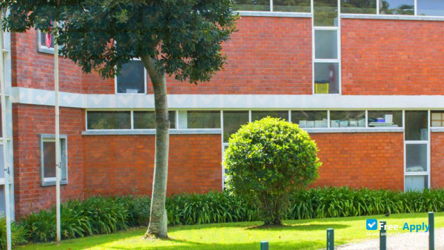 Foto de la School of Health of Alcoitão #1