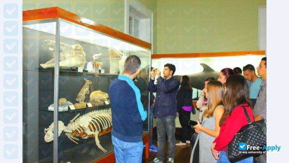 Foto de la Instituto Superior de Administração e Linguas (Funchal) #14