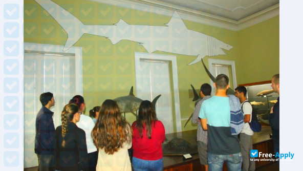Foto de la Instituto Superior de Administração e Linguas (Funchal) #16