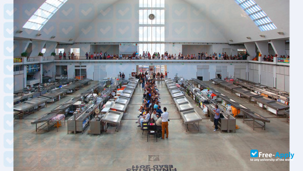 School of Arts and Design Matosinhos / School of Arts and Design Matosinhos photo #9