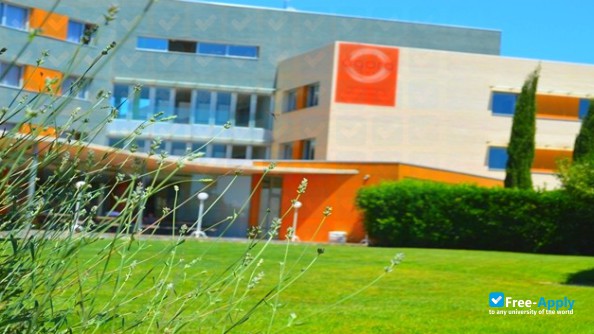 Foto de la Agora University #6