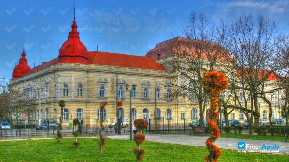 Emanuel University of Oradea photo #10