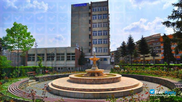 Photo de l’Alma Mater University of Sibiu #9