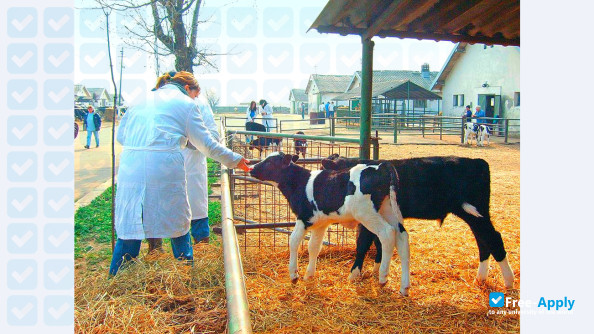 Photo de l’University of Agronomic Sciences and Veterinary Medicine of Bucharest #10