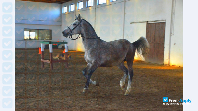 Photo de l’University of Agronomic Sciences and Veterinary Medicine of Bucharest #1