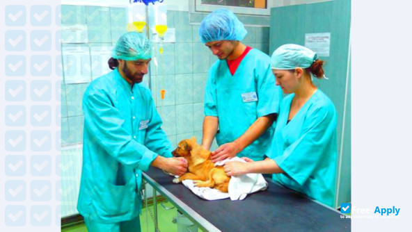 Foto de la University of Agricultural Sciences and Veterinary Medicine Cluj-Napoca #7