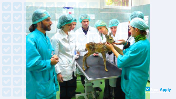 Foto de la University of Agricultural Sciences and Veterinary Medicine Cluj-Napoca #6