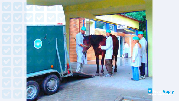Foto de la University of Agricultural Sciences and Veterinary Medicine Cluj-Napoca #4