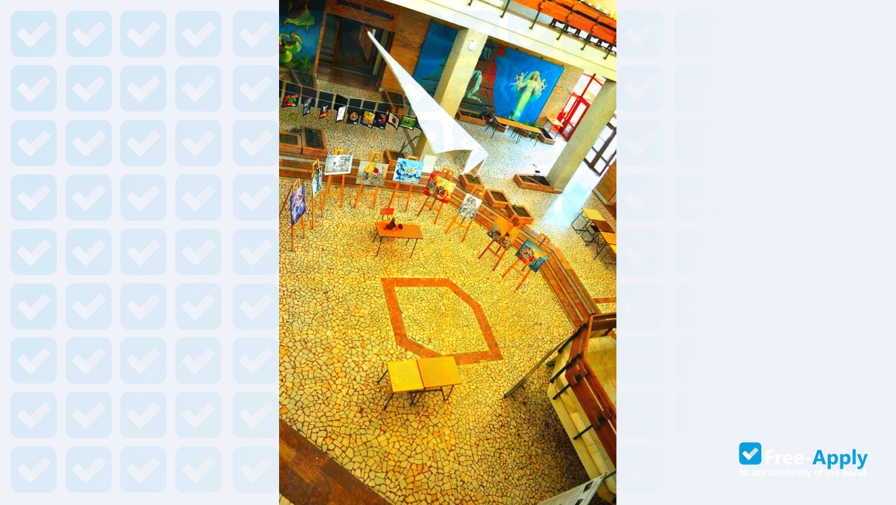 “Dunarea de Jos” University of Galati photo #12