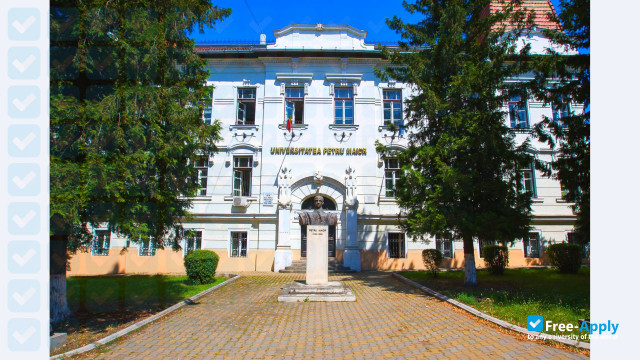 Photo de l’"Petru Maior" University of Tîrgu-Mureș #9
